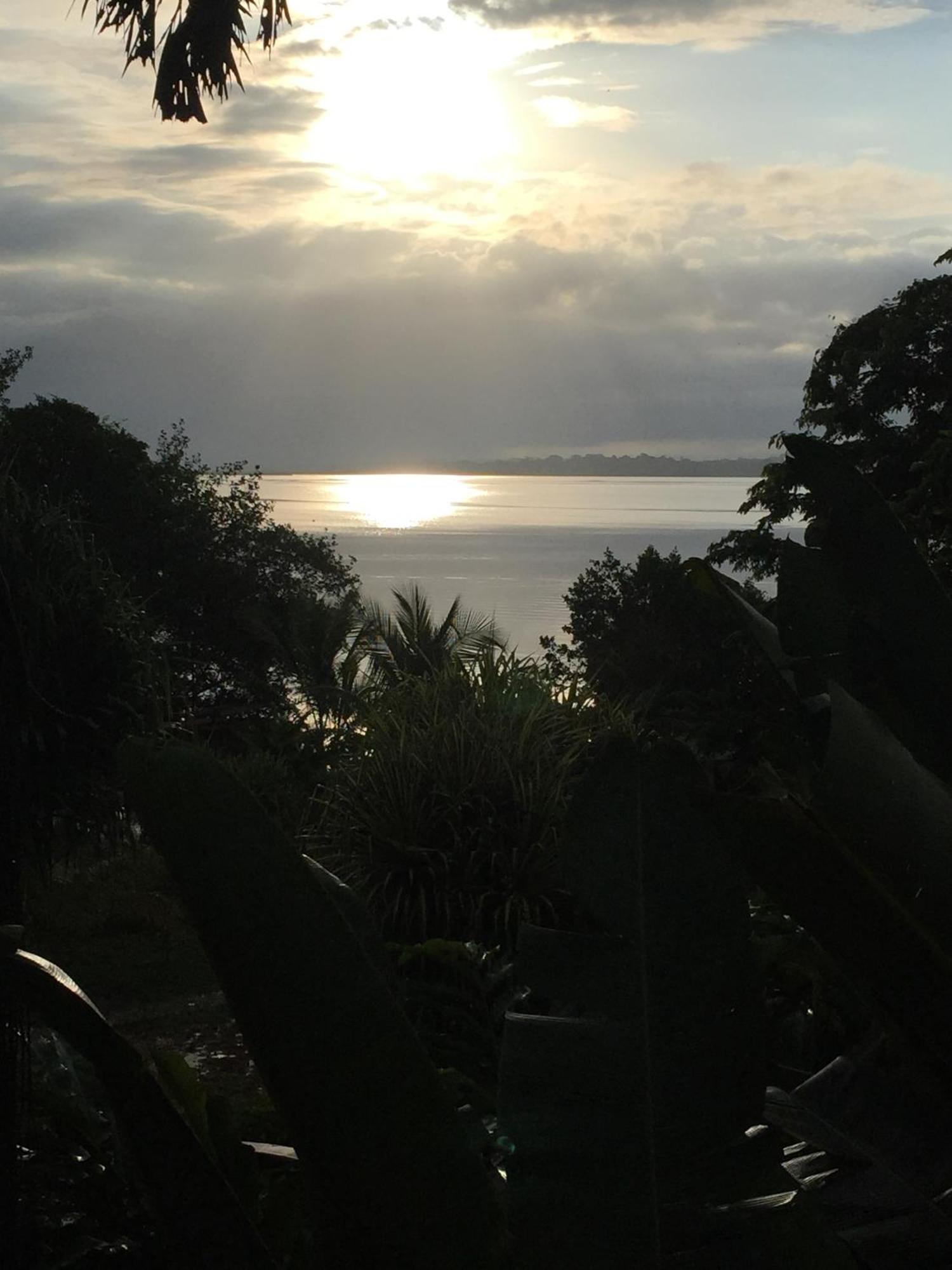 Dolphin Bay Hideaway Bed & Breakfast Bocas del Toro Exterior photo
