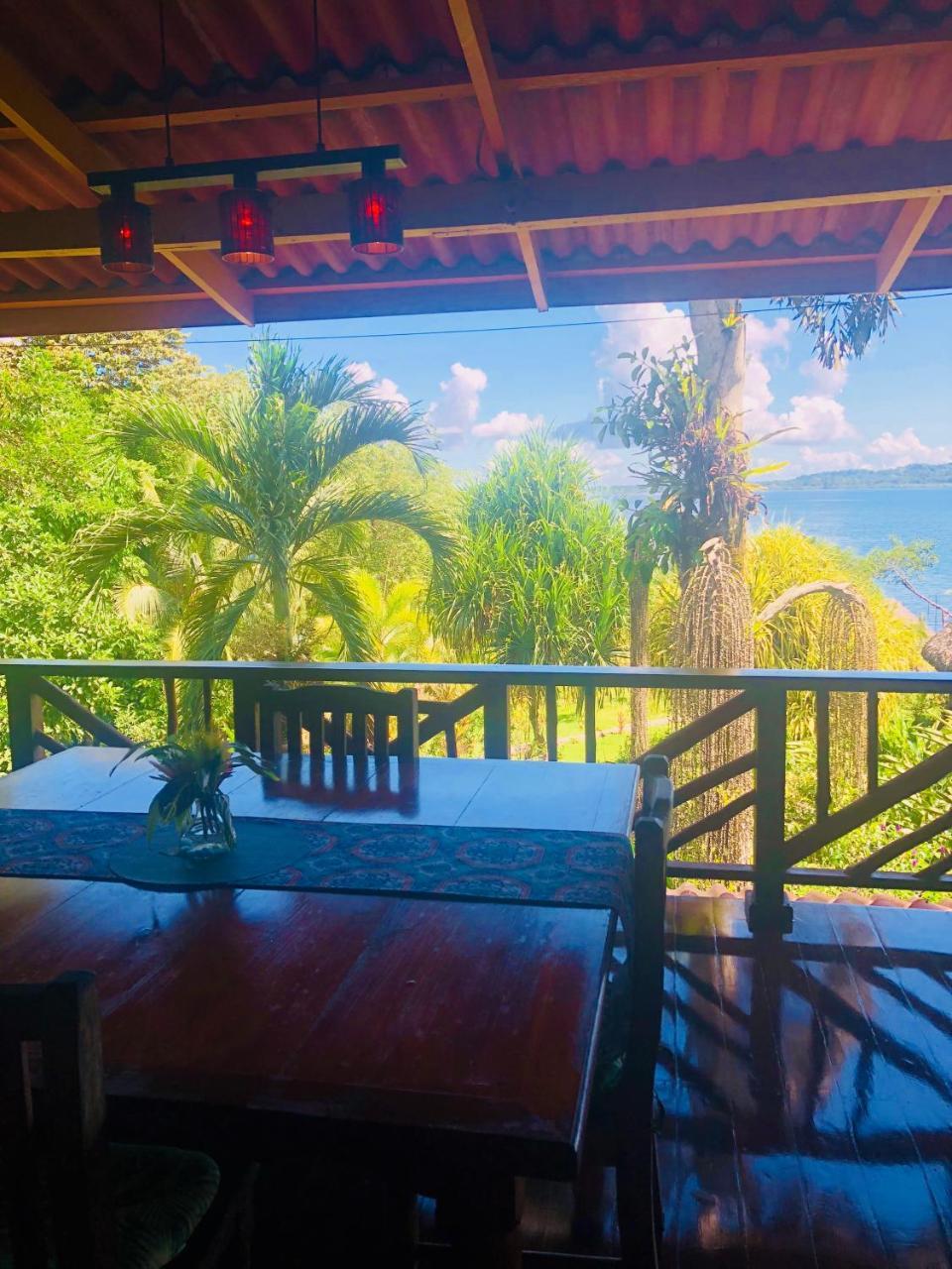 Dolphin Bay Hideaway Bed & Breakfast Bocas del Toro Exterior photo